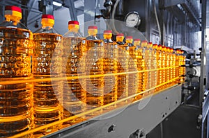 Oil in bottles. Industrial production of sunflower oil. Conveyor
