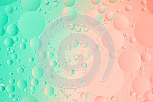 Oil bubbles on water macro photography abstract green and pink color gradient background