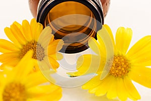 Oil from calendula flower