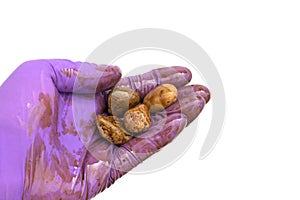 Oil Cleanup Worker Holding Soiled Rocks