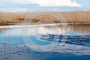 Oil containment boom at a lake after an oil spill