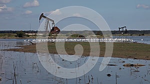 Oil derricks in hagerman wildlife refuge on lake Texoma.