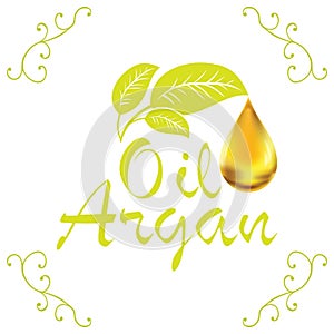Oil drop, Argan oil cosmetic falling from leef with decoration elements on white background photo