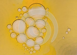 Oil drops on a water surface