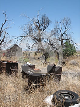 Oil Drums and Tyre