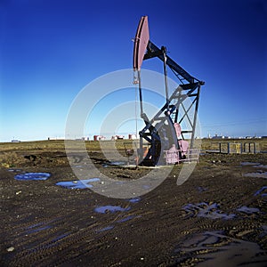 Oil extraction pump