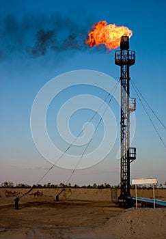 Oil gas flare