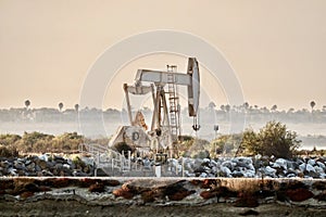 Oil jacks in the California wetlands