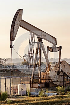 Oil jacks in the California wetlands