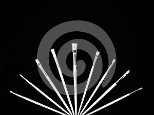 Oil paint brushes arranged in fan shape on black background