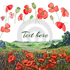 Oil paint and watercolor poppies design. Hand drawing illustration. Vector EPS.