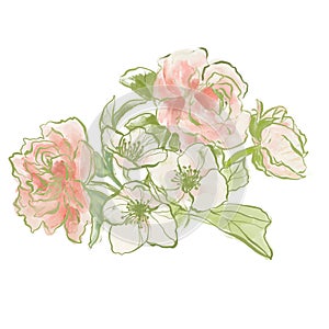 Oil painting abstract bouquet of peony and jasmine. Hand painted floral composition isolated on white background