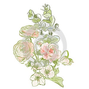 Oil painting abstract bouquet of ranunculus, jasmine and eucalyptus. Hand painted floral composition isolated on white