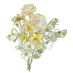 Oil painting abstract bouquet of ranunculus, narcissus, jasmine and eucalyptus. Hand painted floral composition isolated