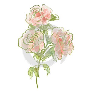 Oil painting abstract bouquet of rose and peony. Hand painted floral composition isolated on white background. Holiday