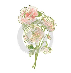 Oil painting abstract bouquet of rose and ranunculus. Hand painted floral composition isolated on white background