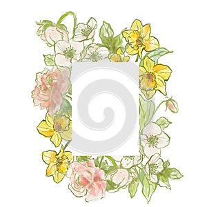 Oil painting abstract frame of narcissus, peony and jasmine. Hand painted floral composition isolated on white