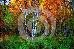 oil painting birch in the middle of  grass in autumn