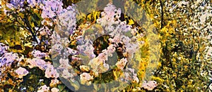 Oil painting - blooming lilac tree. Modern digital art, impressionism technique, imitation of Vincent van Gogh style