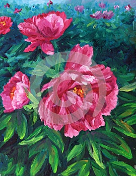 Oil Painting - Blooming Peony