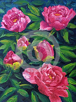 Oil Painting - Blooming Peony