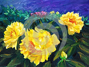 Oil Painting - Blooming Peony