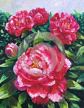 Oil Painting - Blooming Peony