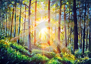 Oil painting canvas Sunset Or Sunrise In Forest Landscape. Sun Sunshine With Natural Sunlight And Sun Rays Through Woods Trees In