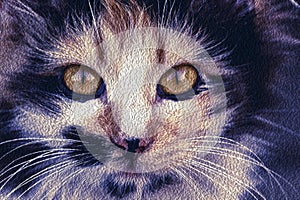 Closeup of tabby cat face. Fauna background.Pets and lifestyle concept