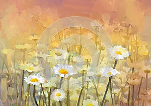 Oil painting daisy-chamomile flowers field at sunrise. Hand painted Vintage flowers white flower daisy at meadow