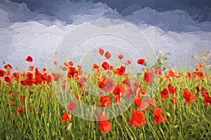 Oil painting summer landscape - field of poppies.