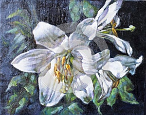 Oil paints on canvas of a white flower