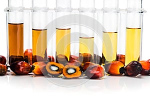 Oil palm biofuel biodiesel with test tubes on white background.