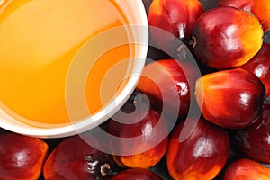 Oil palm fruit and cooking oil