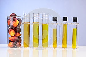 Oil palm fruits with biofuel in beaker test tubes in laboratory in blue background