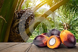 Oil Palm fruits with cut in half on wooden table