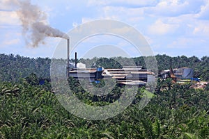 Oil palm mill in Borneo, Malaysia