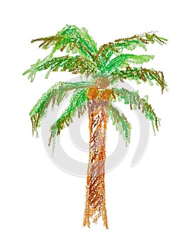 Oil pastels hand paint coconut tree, natural summer illustration
