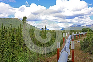 Oil pipeline along Dalton Highway, leading from Valdez, Fairbanks to Prudhoe Bay, Alaska, USA