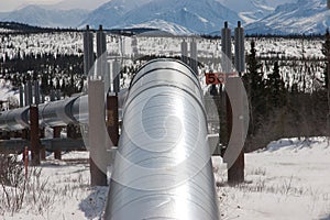 Oil Pipeline in Wilderness