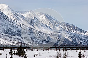 Oil Pipeline in Wilderness