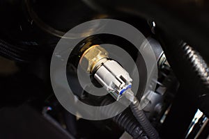 Oil pressure sensor or switch of car engine