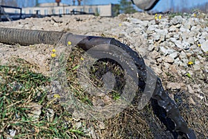 Oil product is poured directly on the grass