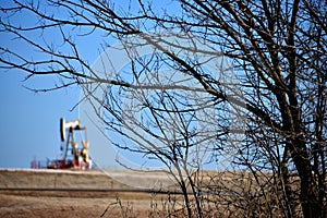 Oil pump behind Tree limbs