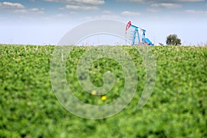 Oil pump jack on field