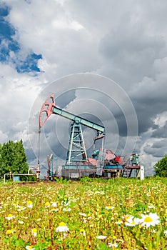 Oil pump jack in a field of chamomile flowers under dark cloudy skies