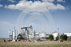 Oil pump jack and refinery