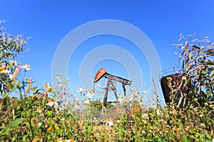 Oil Pump Jack (Sucker Rod Beam)