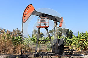 Oil Pump Jack (Sucker Rod Beam) in The Banana Field