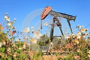 Oil Pump Jack (Sucker Rod Beam) in The Field photo